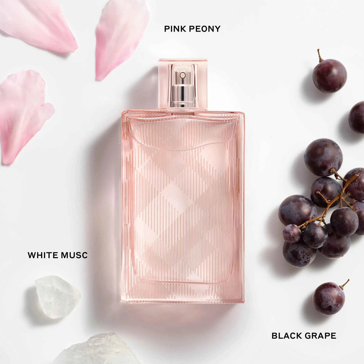 Burberry - Brit Sheer Eau De Toilette • 100ml