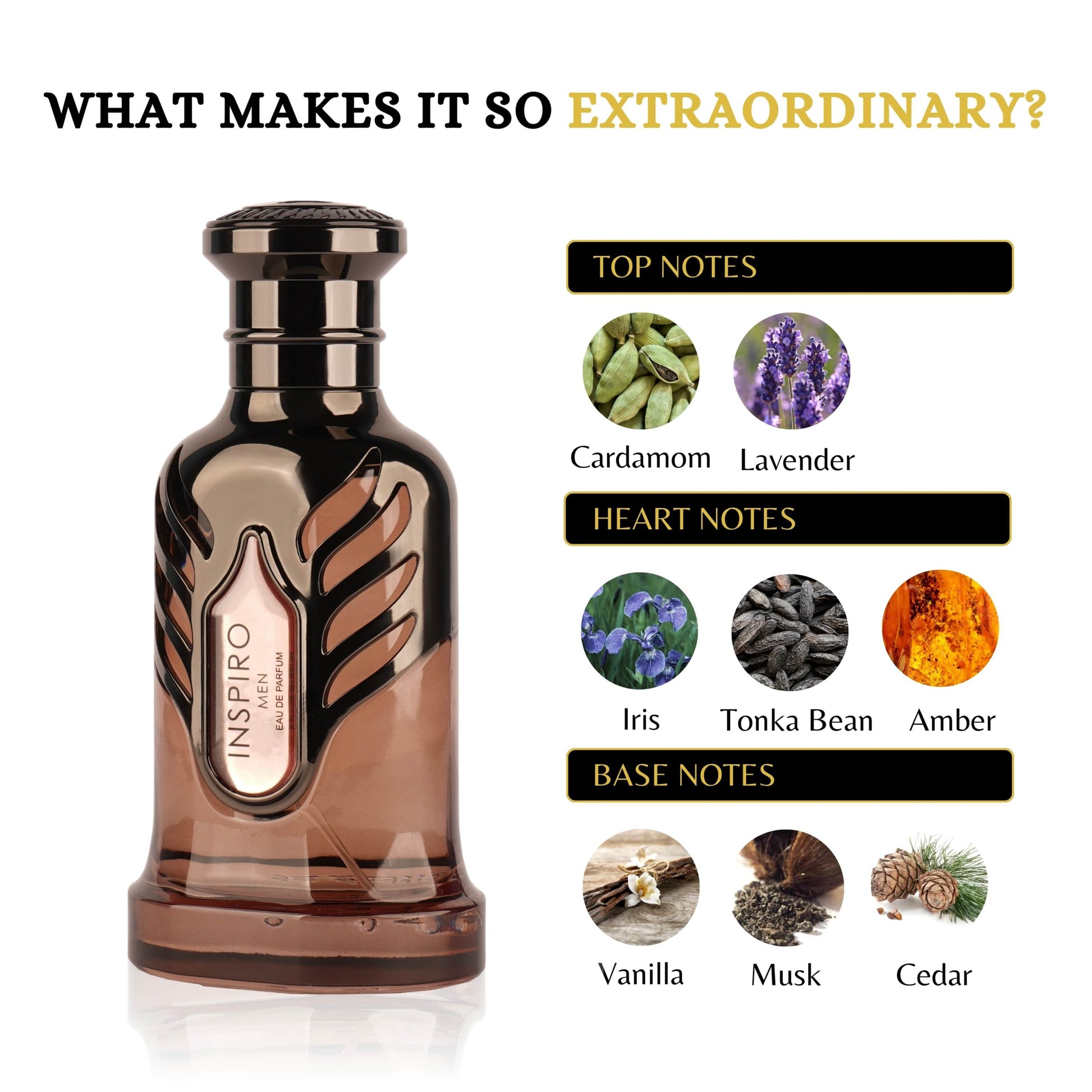 INSPIRO MEN - BOTTLED BLISS