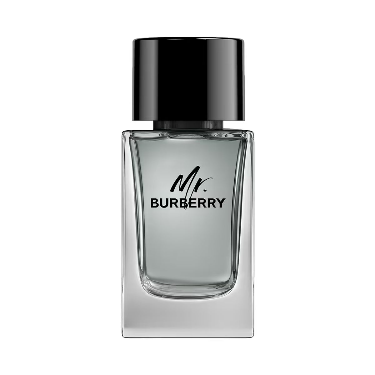 Burberry Mr. Burberry Edt 100ml
