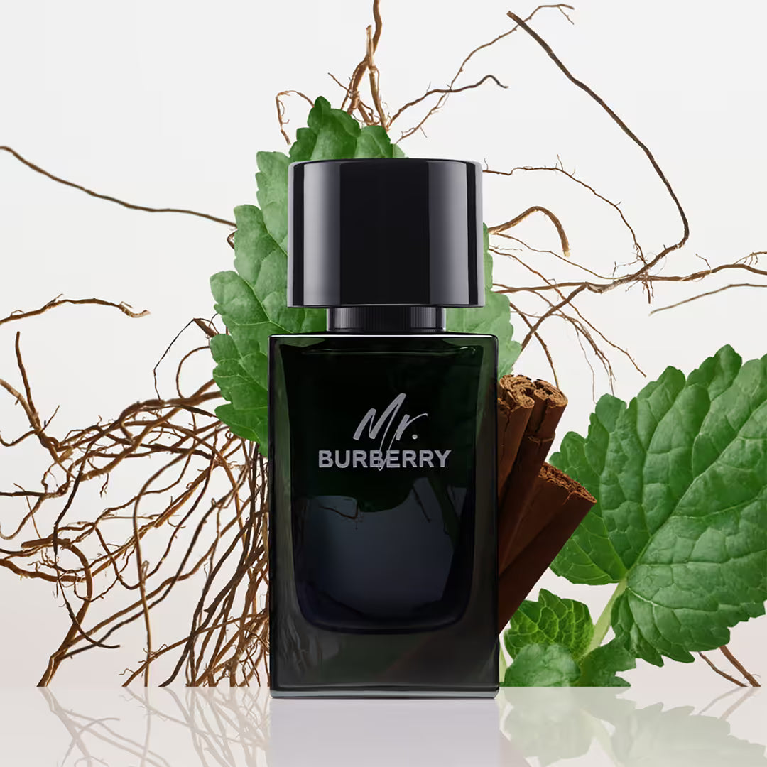 Burberry Mr. Burberry Edp 100ml